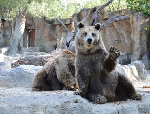 Zoológico Nacional de Chile