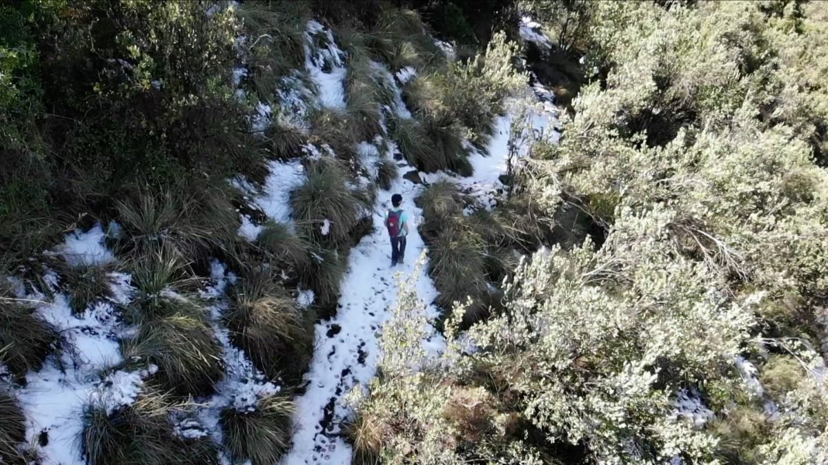 Quebrada Guayacán | 5K